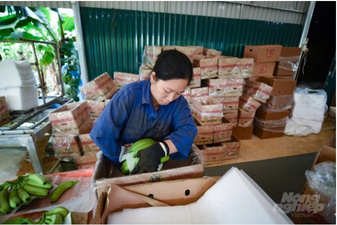 Giá trị xuất khẩu nông sản 10 tháng tiến gần 40 tỷ USD