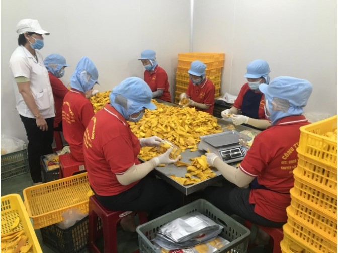 Dồn lực khôi phục chuỗi ngành hàng trái cây