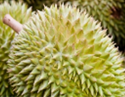 Thái Lan và Trung Quốc ký thỏa thuận thúc đẩy xuất khẩu trái cây Thái Lan