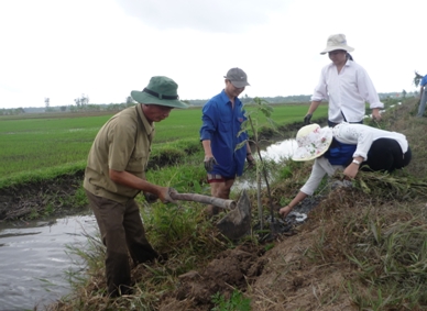 Dự báo tình hình sâu bệnh hại trên lúa từ ngày 01/8 – 07/8/2015 tại tỉnh Vĩnh Long
