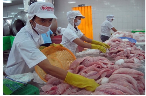 Tái cấu trúc ngành cá tra phải bắt đầu từ khâu phân phối
