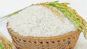Một doanh nghiệp Mỹ muốn tìm mua gạo hạt trung và hạt dài như gạo Japonica và gạo nấu sushi